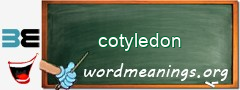 WordMeaning blackboard for cotyledon